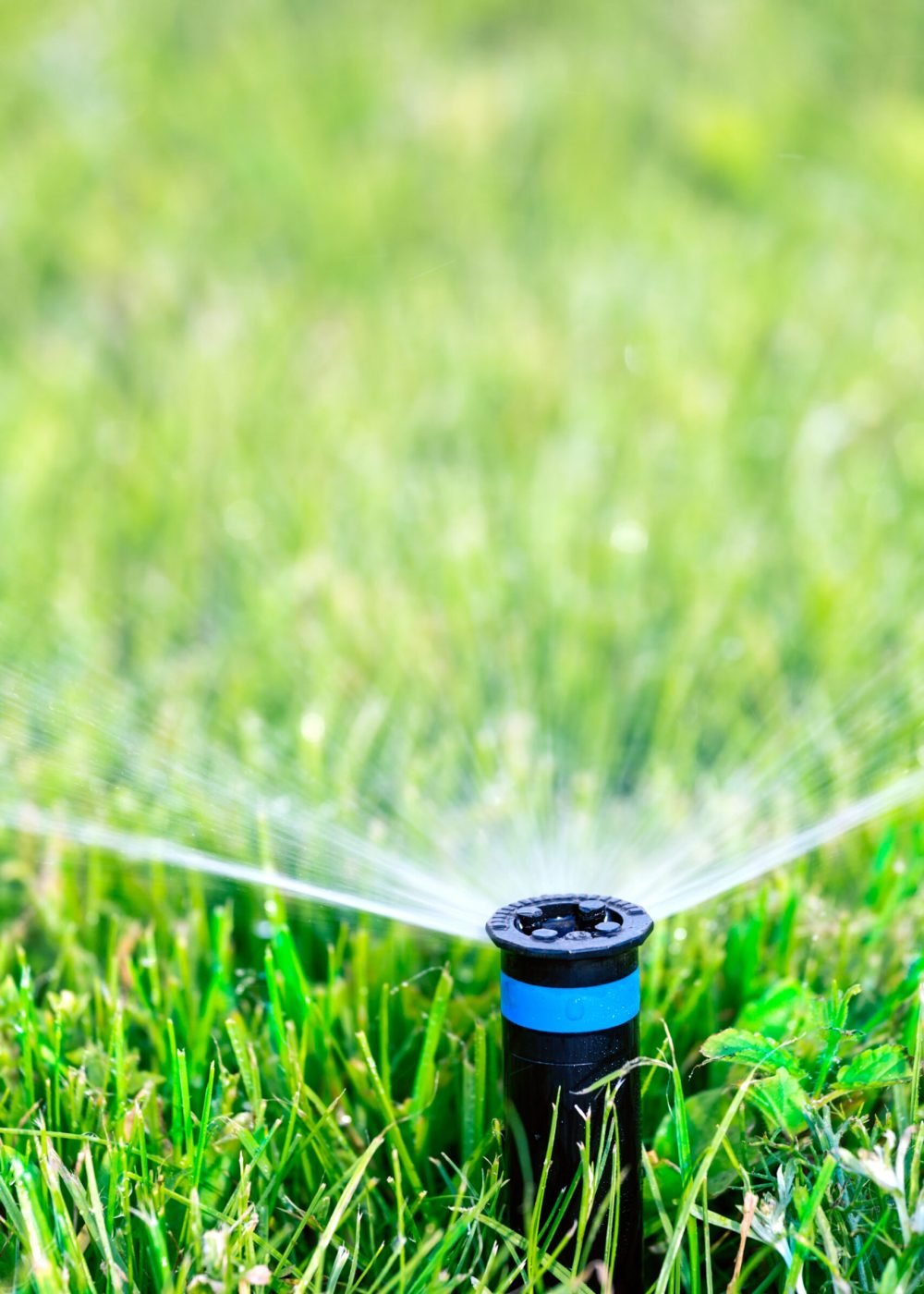 Sprinkler head spraying water on green lawn